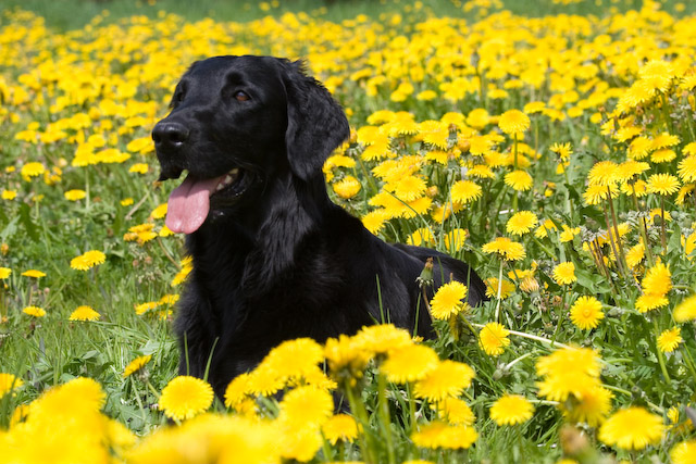 Juli im Frühjahr 08 Bild6
