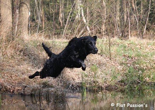 Jimbey Wasser